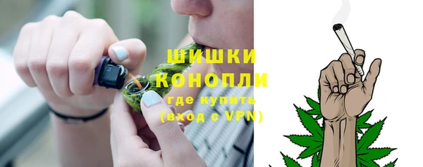 прущие грибы Киреевск