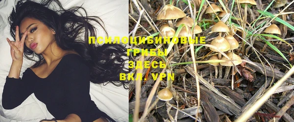 прущие грибы Киреевск
