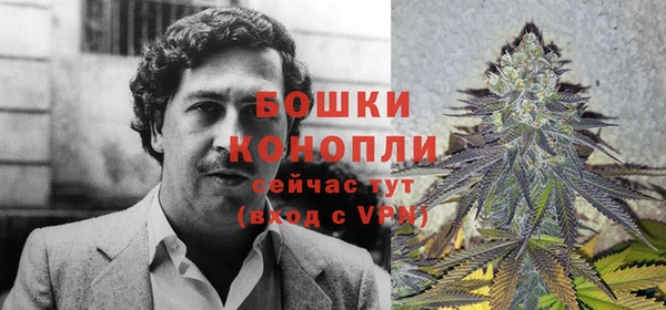 прущие грибы Киреевск