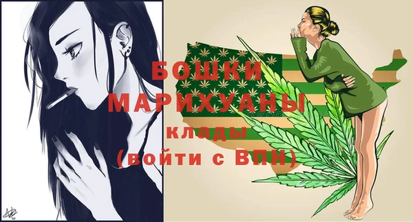 индика Козловка
