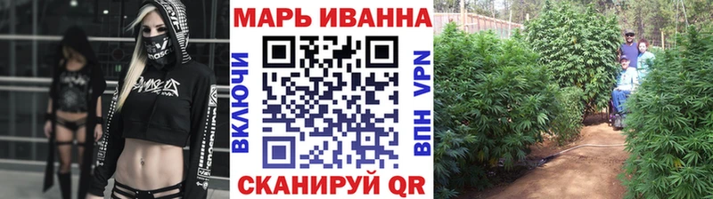 Купить  Далматово  Бошки Шишки Ganja 